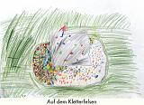 Schroeter Falk
